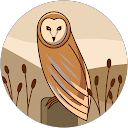 Sharon M. profile picture